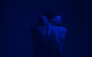 Zuperla Premium WordPress Themes