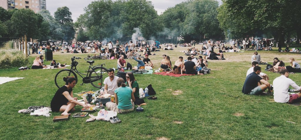 Zuperla Premium WordPress Themes