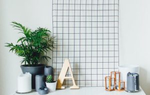 Zuperla Premium WordPress Themes